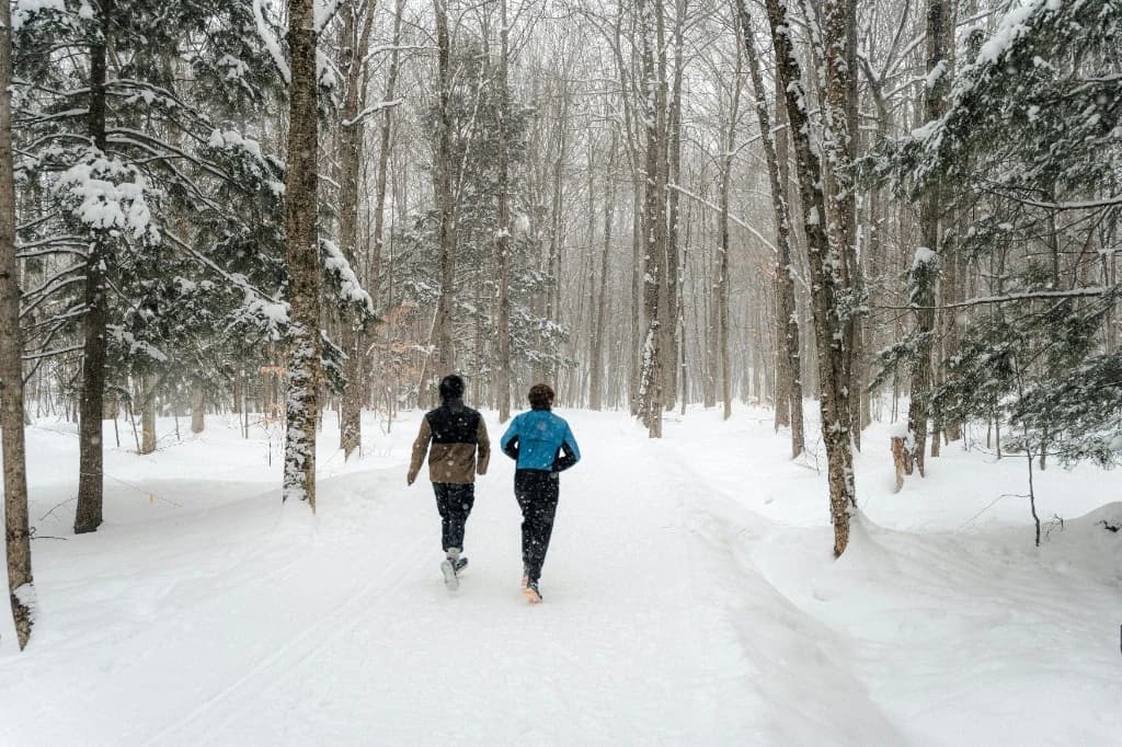 Marche en montagne