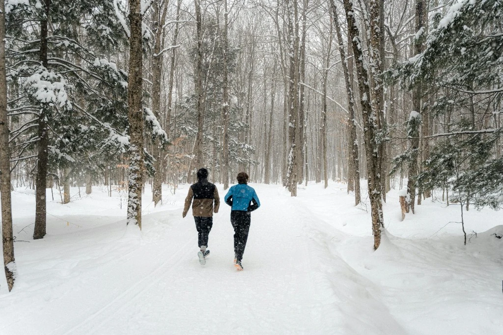 Marche en montagne